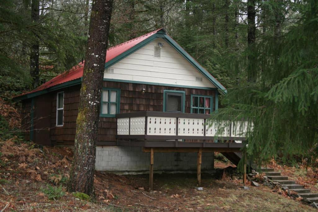 Mountainside Chalet - Tiny Home Packwood Exterior foto